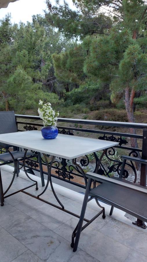 Evaggelia'S Seaside Boutique Apartment Ireo  Extérieur photo